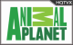 Animal Planet  Tv Online