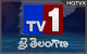 Jai Telangana  Tv Online